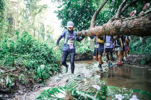 BIB: 
                            <button type="button" onclick="openModal(25474259)" class="btn btn-primary btn-sm float-right btn-popup" data-toggle="modal" data-target=".modal-high-quality">
                        <i class="fas fa-shopping-cart"></i> Add to Cart
                    </button>
                                            <button type="button" onclick="isThisMe(25474259, true)" class="btn btn-success btn-sm float-right btn-popup btn-isme hidden" data-toggle="tooltip" data-placement="bottom" title="นี่คือรูปของคุณใช่ไหม คลิกที่นี่เพื่อเอาเข้าอัลบั้ม">
                        <i class="fas fa-plus"></i> Add to album
                    </button>
                    <button type="button" onclick="isThisMe(25474259, false)" class="btn btn-warning btn-sm float-right btn-popup btn-isnotme hidden">
                        <i class="fas fa-ban"></i> Remove from album
                    </button>